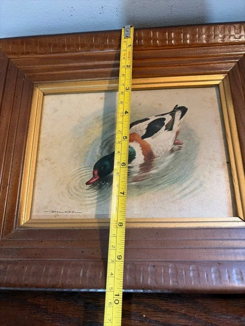 VTG Framed Duck Print By Basil Ede 12